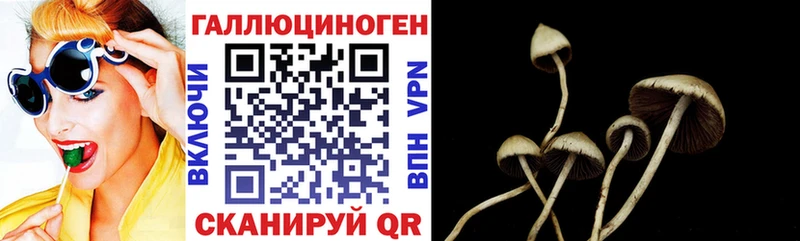 Купить Подольск Галлюциногенные грибы Psilocybine cubensis